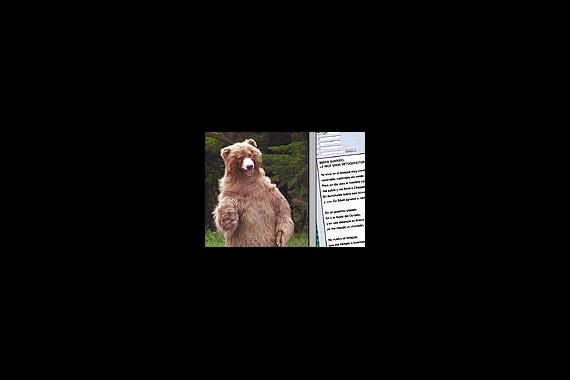 El oso que cambió la letra de su canción