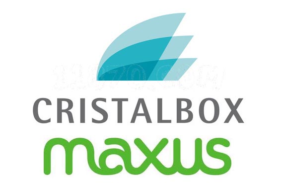 Maxus se adjudicó la cuenta de Cristalbox