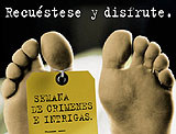 Primeras piezas de BBDO Miami para Discovery Networks