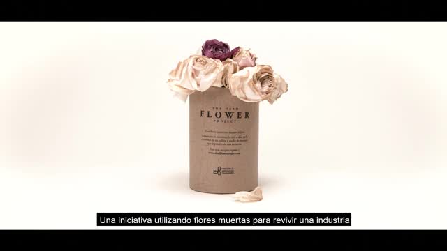The Dead Flower Project