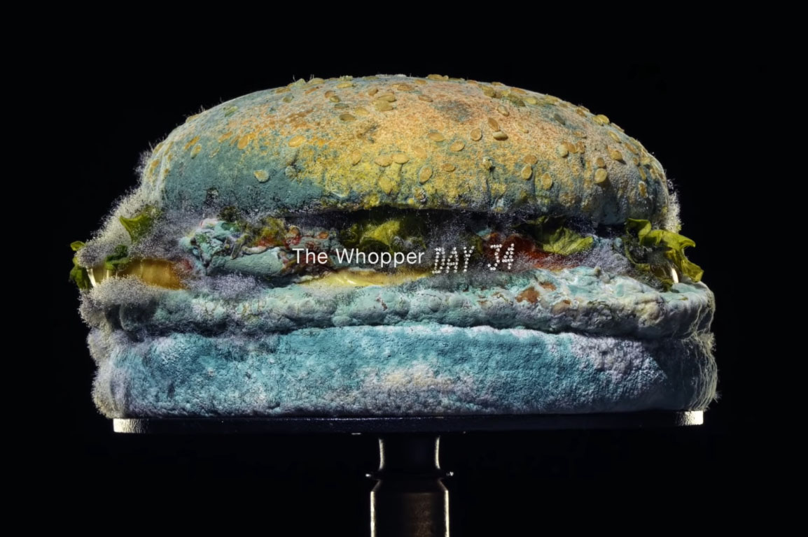 Moldy Whopper