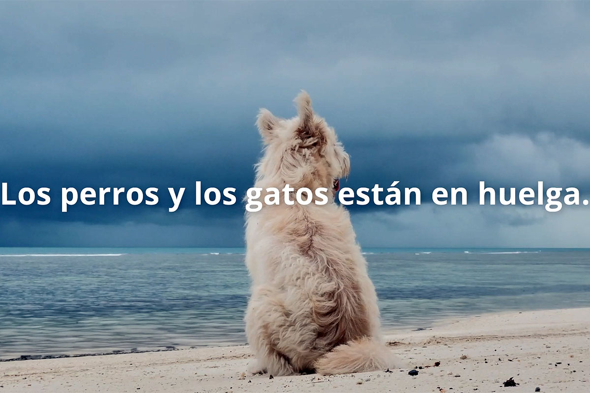 Nuevo: DDB España y la Fundación Affinity convocan a una huelga de animales