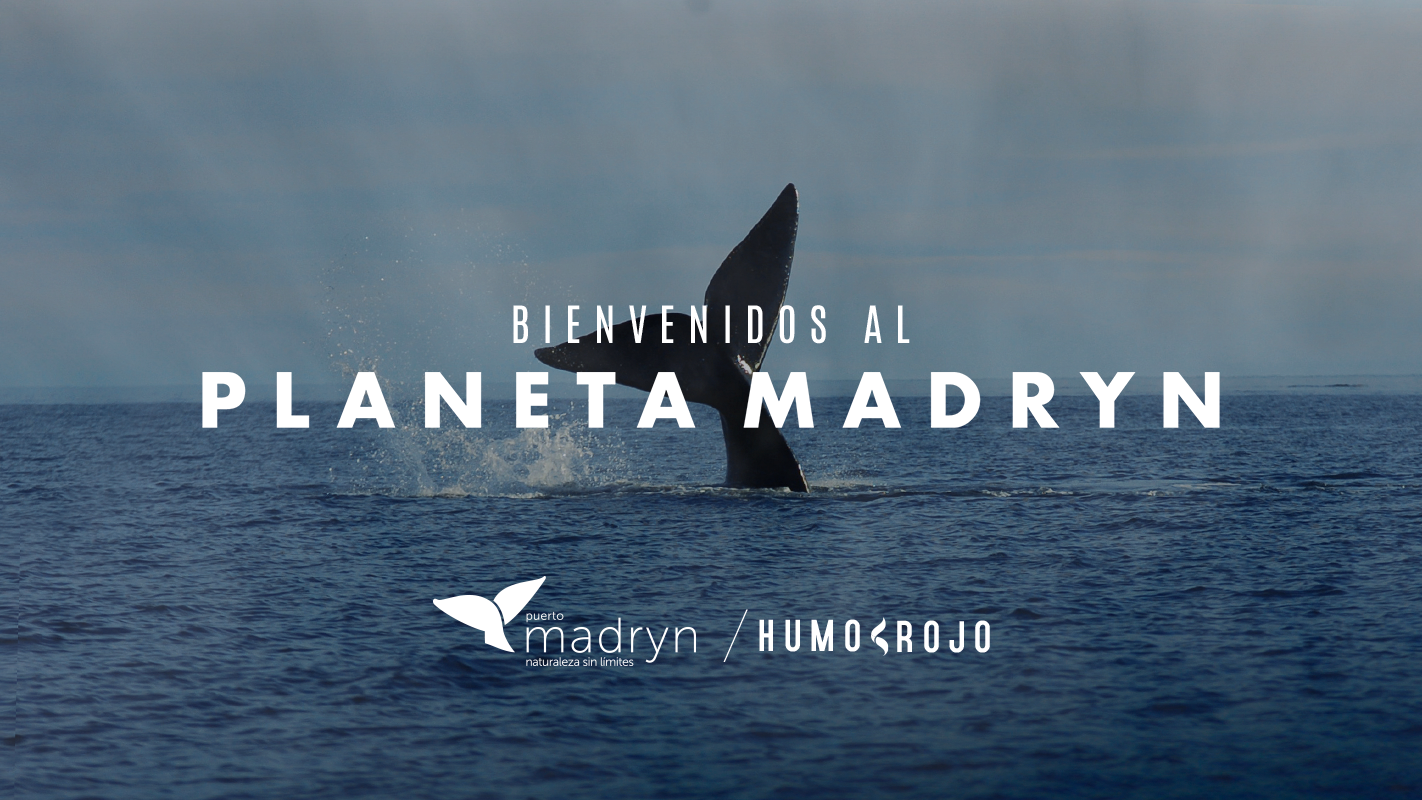 Planeta Madryn