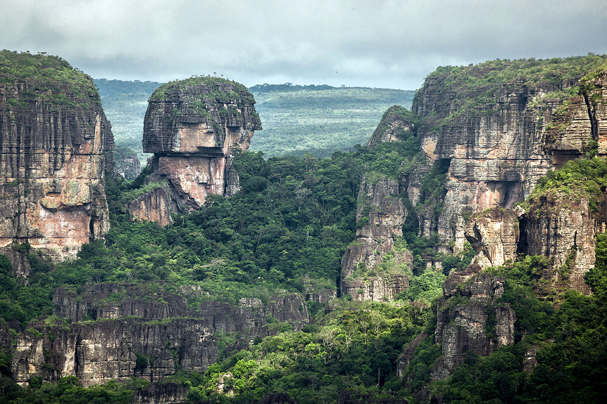 Siete de cada diez colombianos tienen ecoansiedad