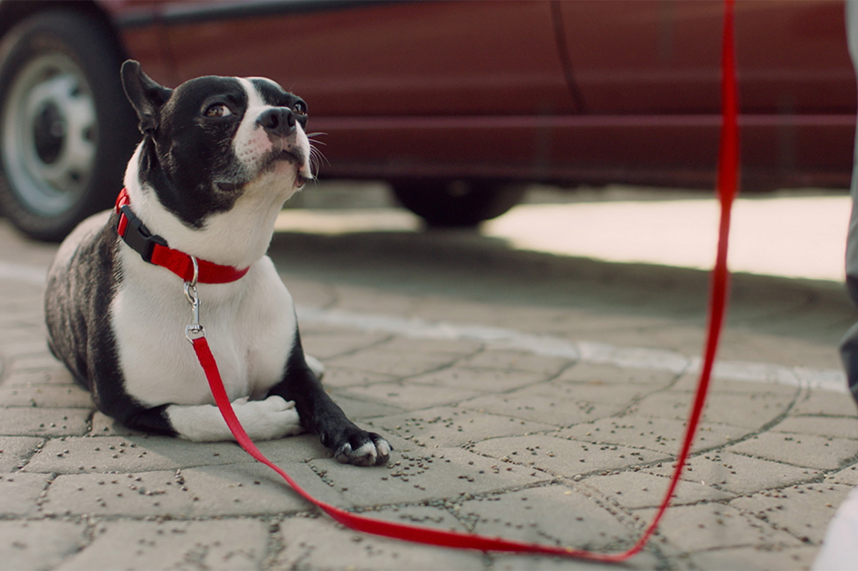 Nuevo: Alma, State Farm y una campaña para dejar de lado las supersticiones cuando se trata de finanzas