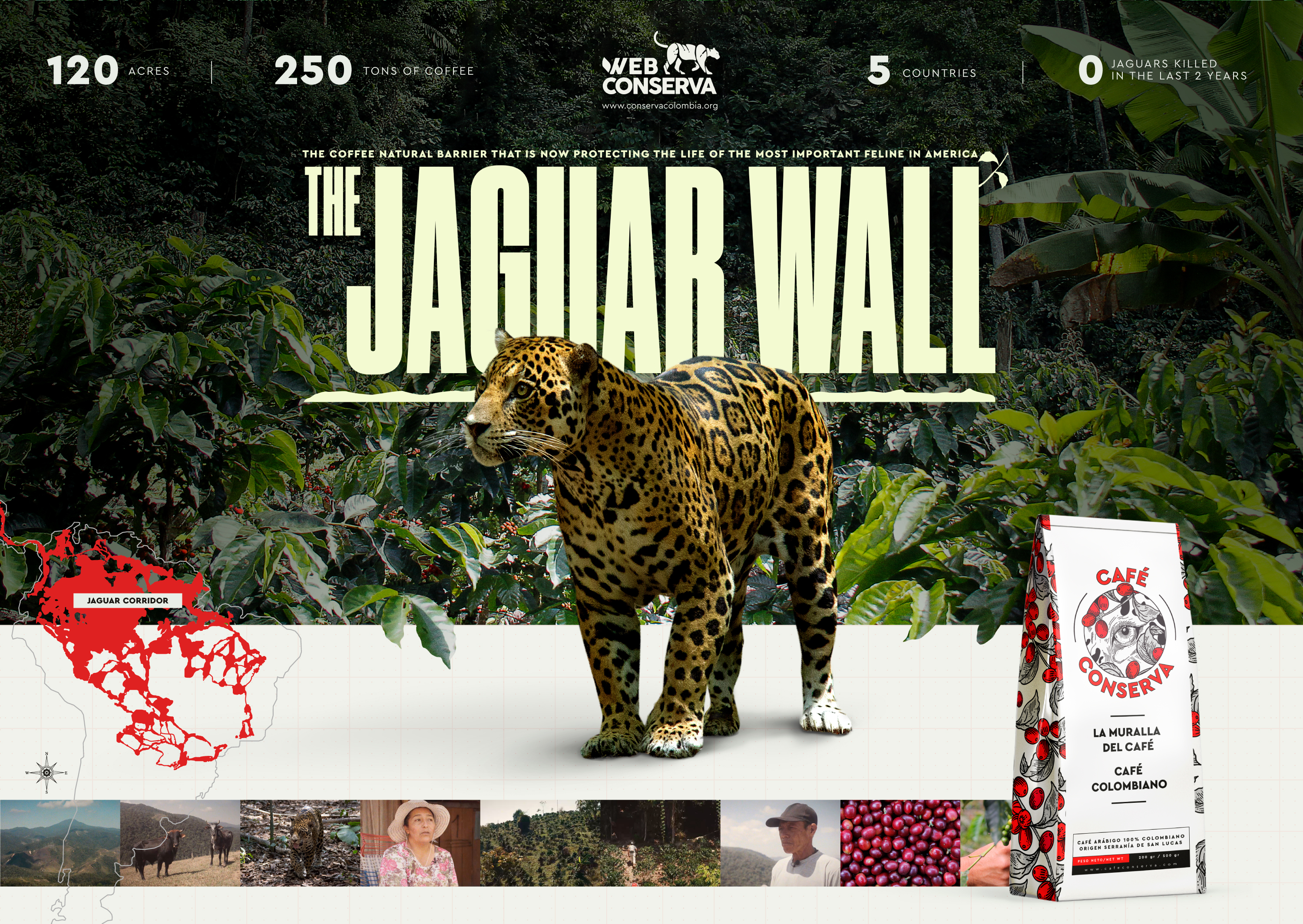 La Muralla del jaguar