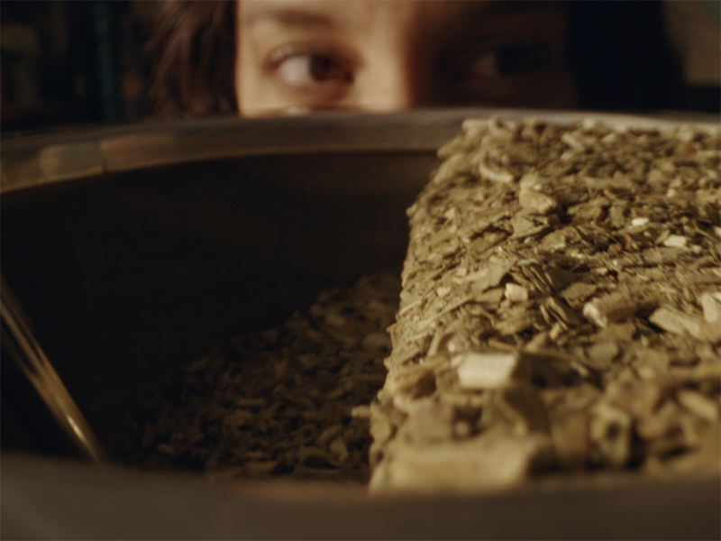 Preestreno: Rapipago y Rapp Argentina presentan “El efectivo sos vos”