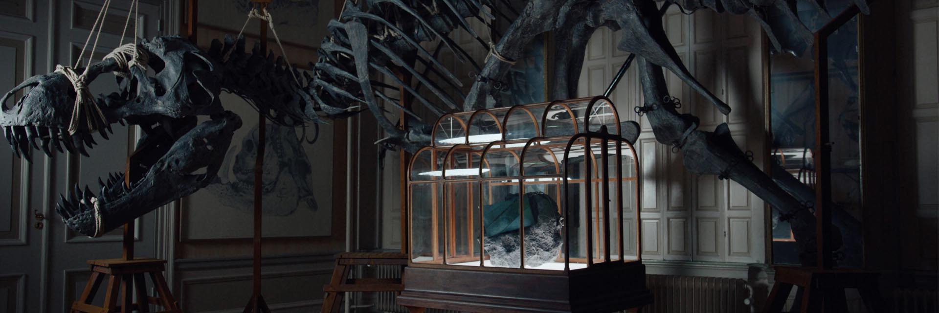 Nuevo: VML y Enfin Levé presentan un bolso de cuero a partir de una especie extinta