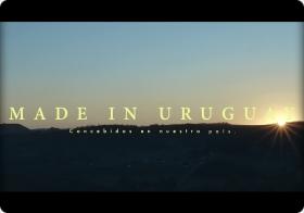 Made in Uruguay