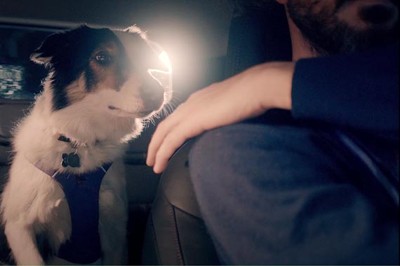 “Full Dog”, preestreno de Niña para Fiat