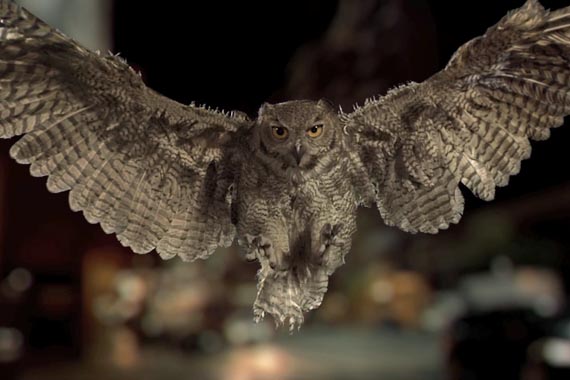 “Dueño del Aire”, preestreno de Madre para Banco Hipotecario