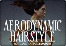 Aerodynamic Hairstyle 