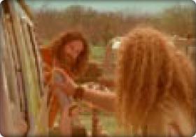 Hippies