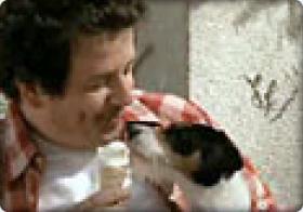 Perrito