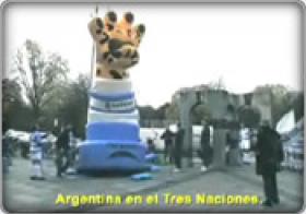 Pumas Dublin