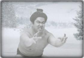 Sumo