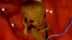 Prenatal, preestreno de Latinworks para Marvin 