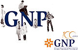 Los cien años de GNP